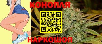 круглые Камышлов